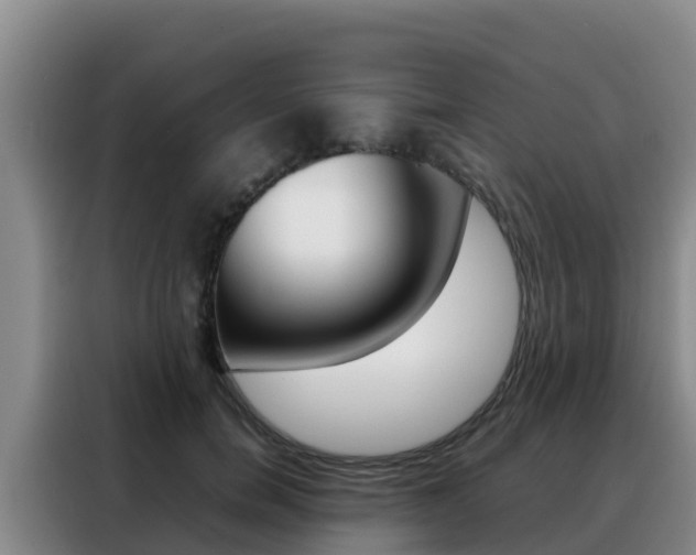 X0000088360750200705220732