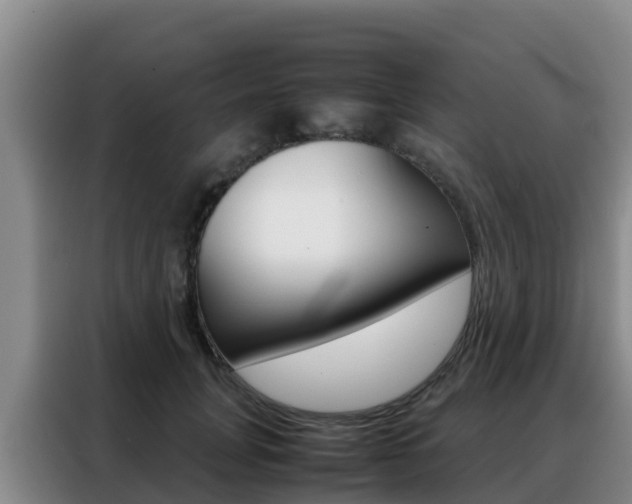 X0000088360751200705220732