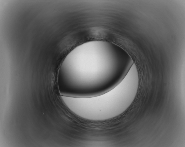 X0000088360752200705220732