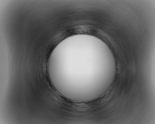 X0000088360753200705220732
