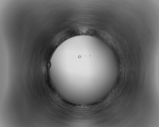 X0000088360754200705220733