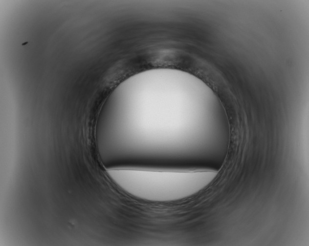 X0000088360755200705220733