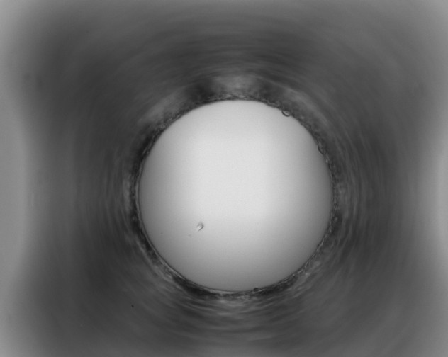 X0000088360757200705220733