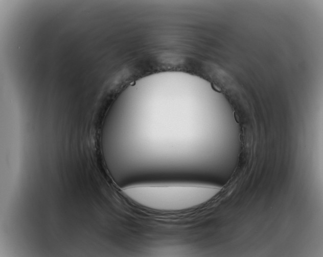 X0000088360758200705220733