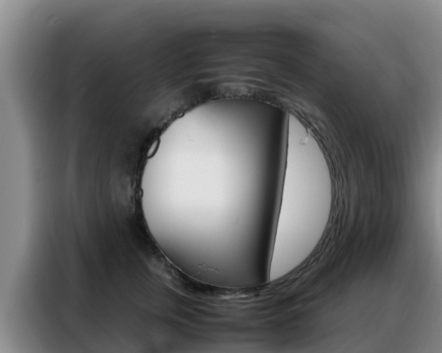 X0000088360759200705220733