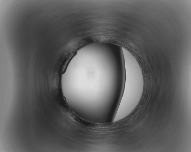 X0000088360760200705220733