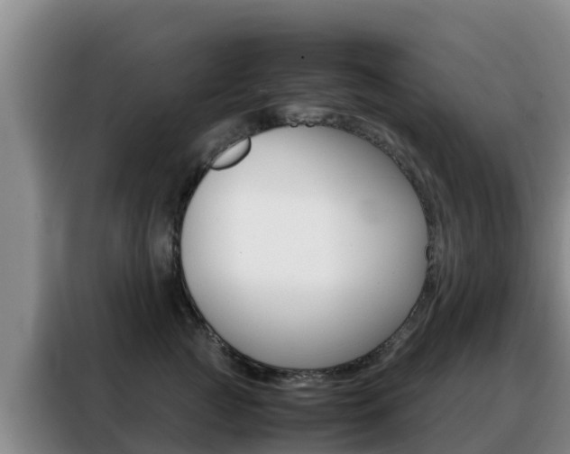 X0000088360761200705220733