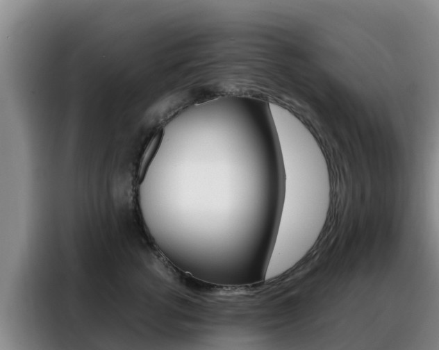 X0000088360762200705220733