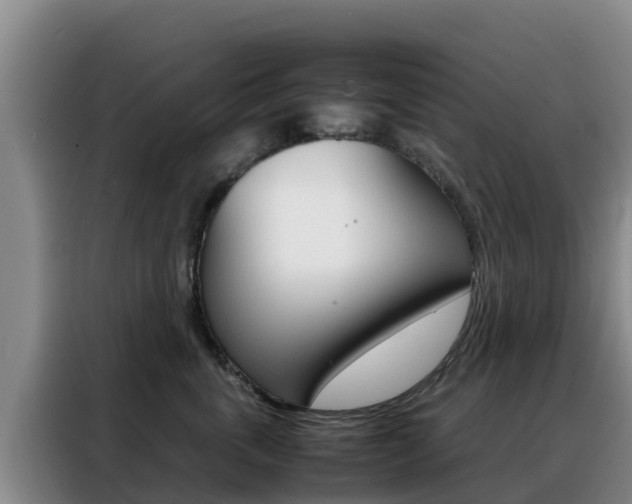X0000088360763200705220733