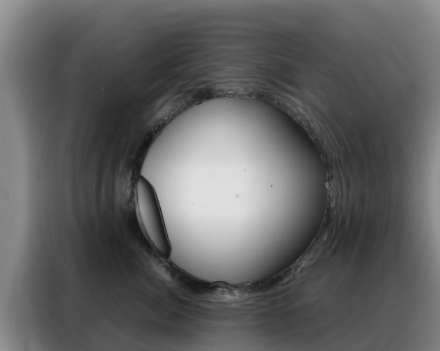 X0000088360764200705220733