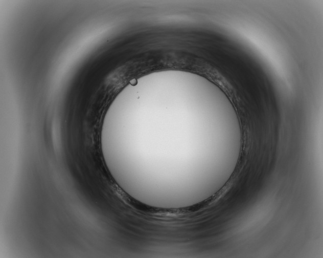 X0000088360765200705220733