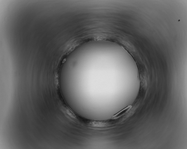 X0000088360766200705220733
