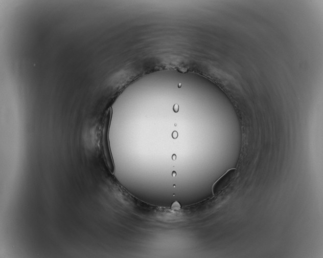 X0000088360768200705220733
