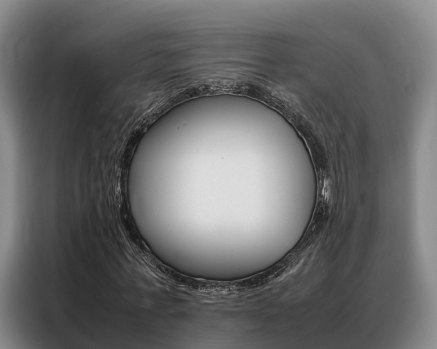 X0000088360771200705220732