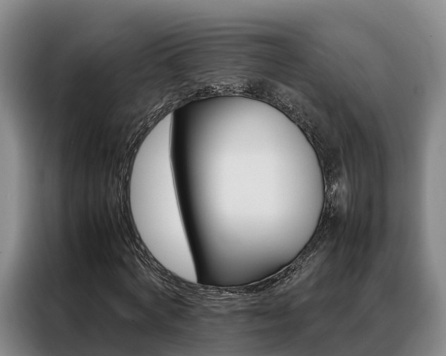 X0000088360772200705220732