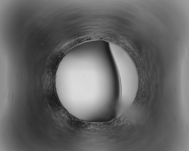 X0000088360773200705220732