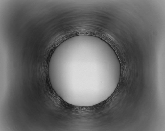 X0000088360774200705220732