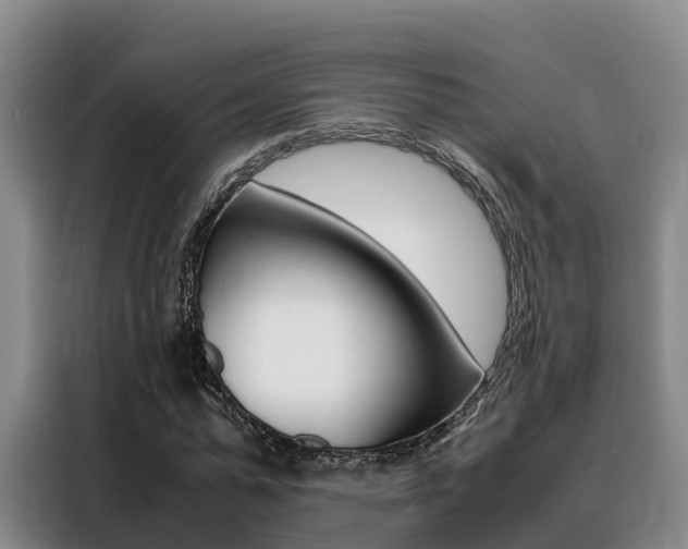 X0000088360775200705220732
