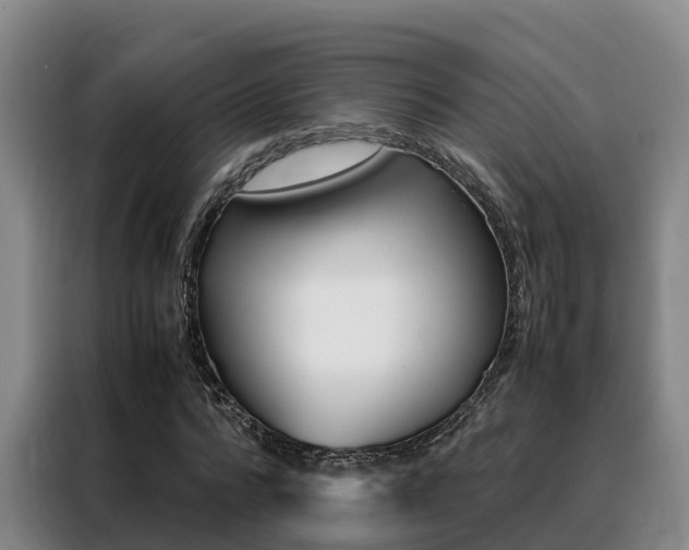 X0000088360776200705220732