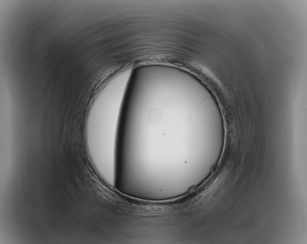 X0000088360777200705220732