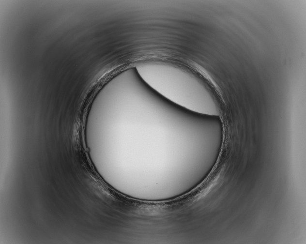 X0000088360778200705220732