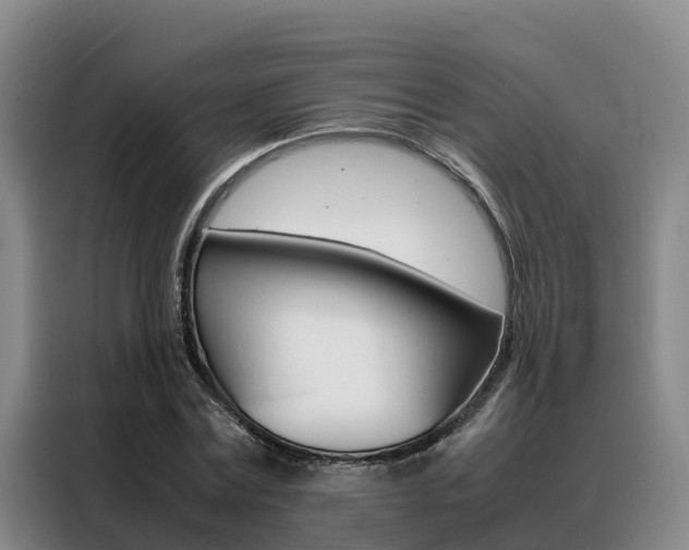 X0000088360779200705220732
