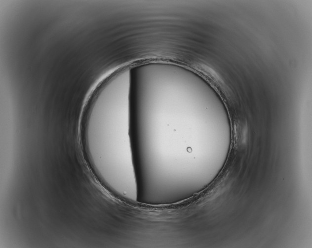X0000088360780200705220732