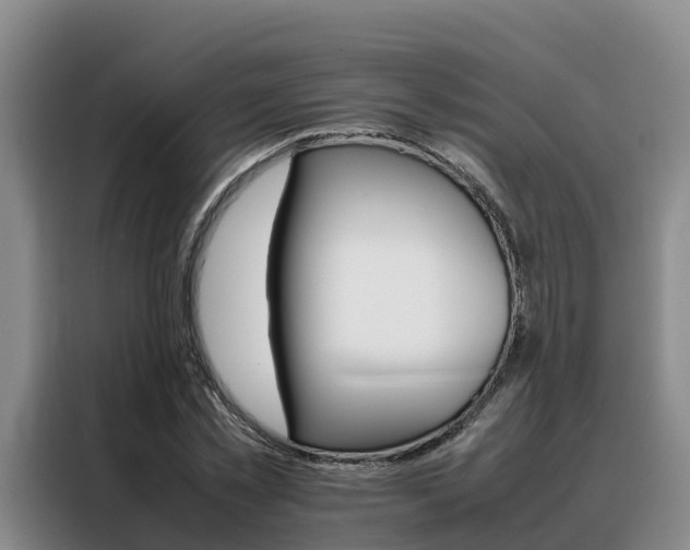 X0000088360781200705220732