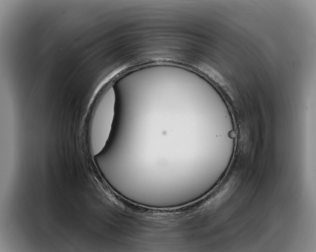 X0000088360782200705220732