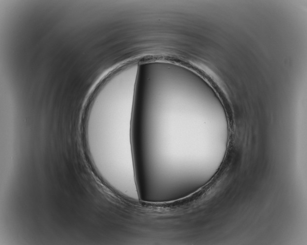 X0000088360783200705220732