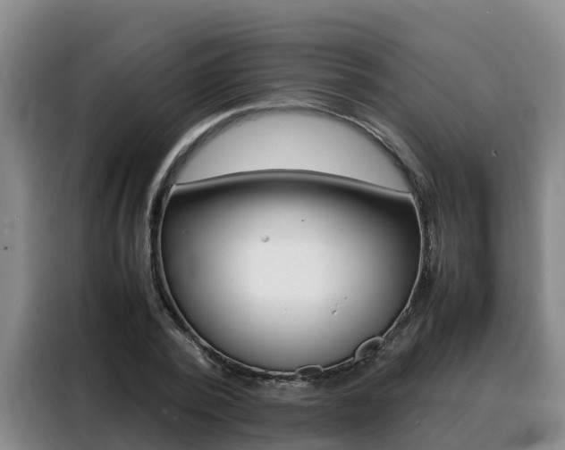 X0000088360784200705220732