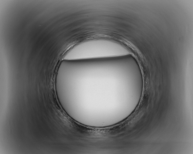 X0000088360785200705220732