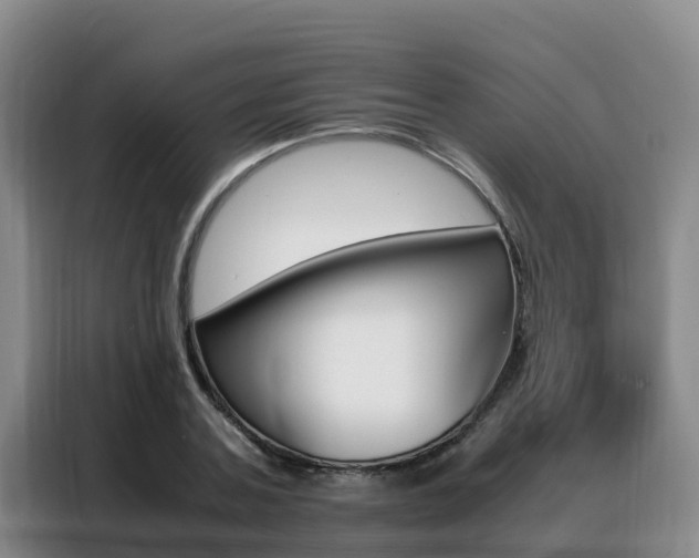 X0000088360787200705220732