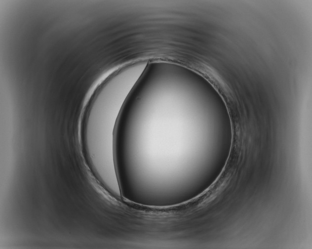 X0000088360788200705220732