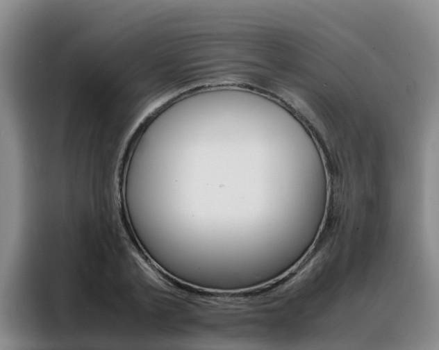 X0000088360789200705220732