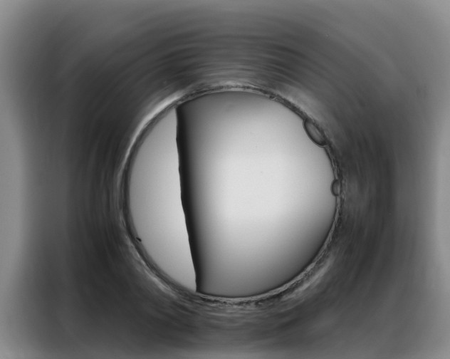 X0000088360790200705220732