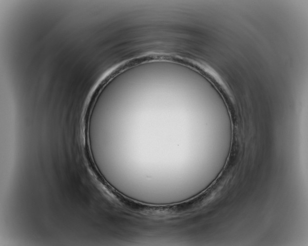 X0000088360791200705220732