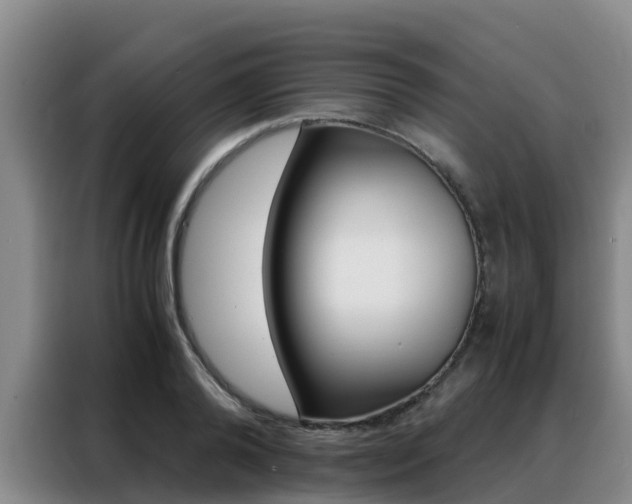 X0000088360792200705220732