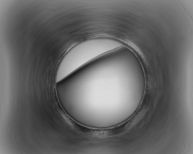X0000088360793200705220732