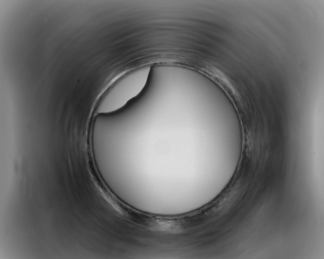 X0000088360794200705220732