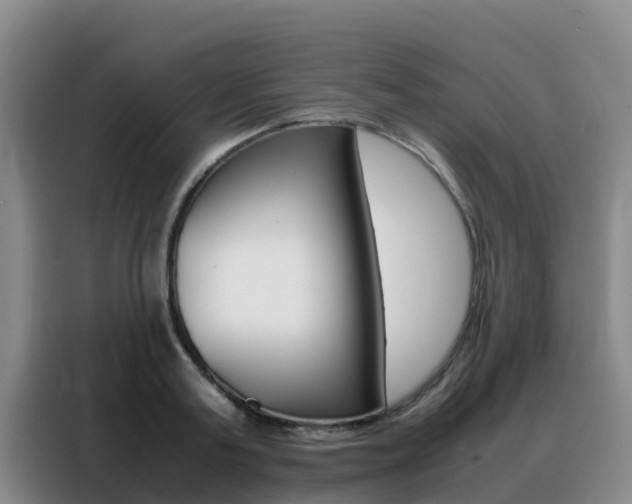 X0000088360795200705220732