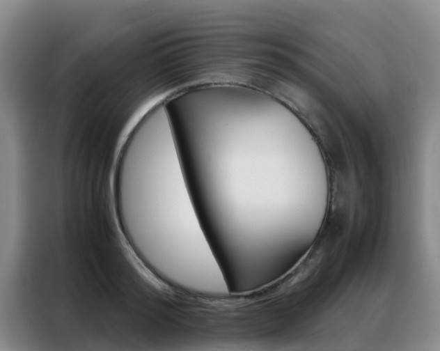 X0000088360796200705220732