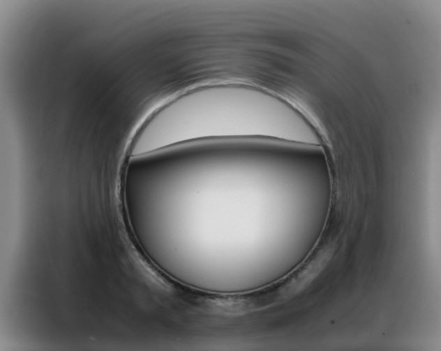 X0000088360797200705220732