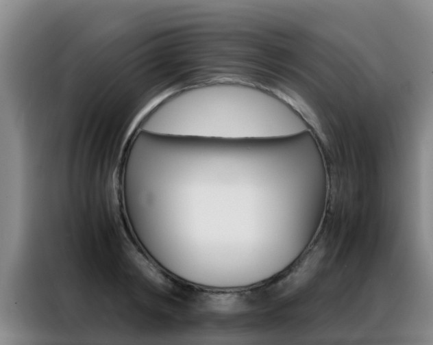 X0000088360798200705220732