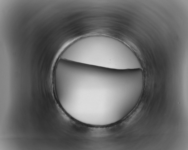 X0000088360800200705220732
