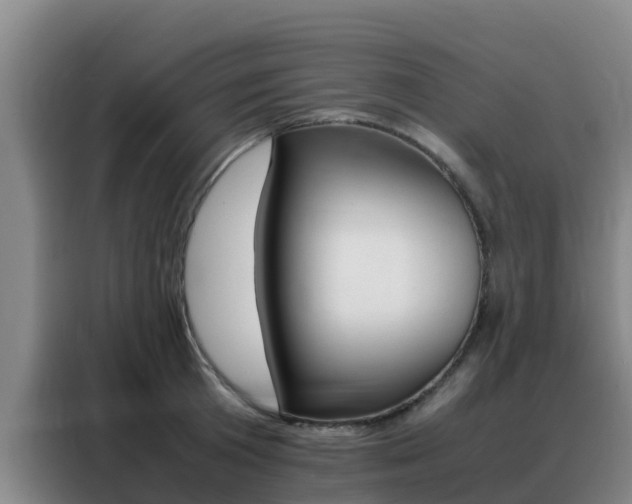 X0000088360801200705220732