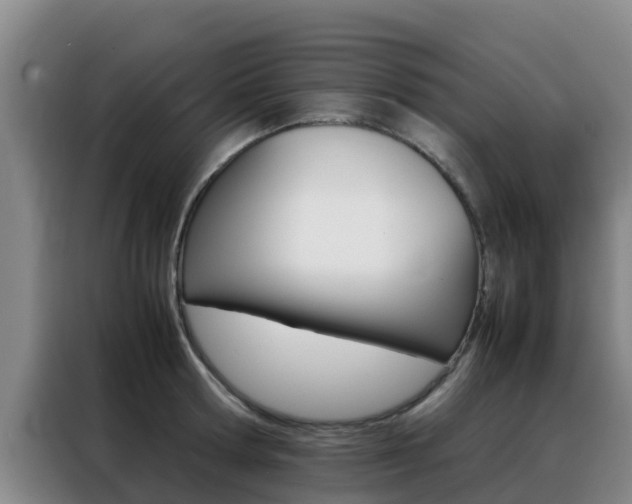 X0000088360802200705220732