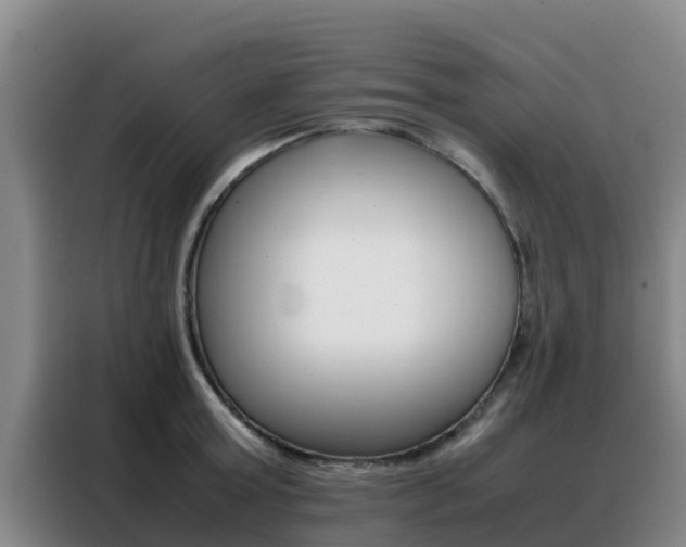 X0000088360803200705220732