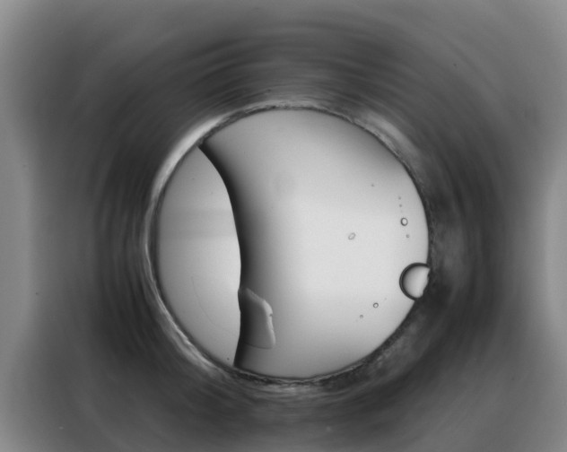 X0000088360804200705220732