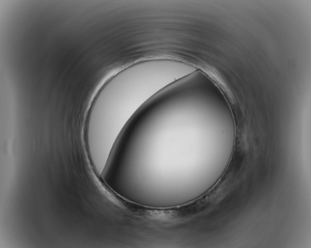 X0000088360805200705220732